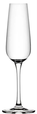210ml Lyon Champagne Glass