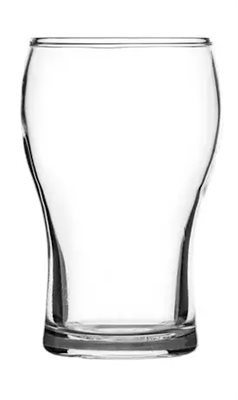 285ml Washington Nucleated Beer Glass