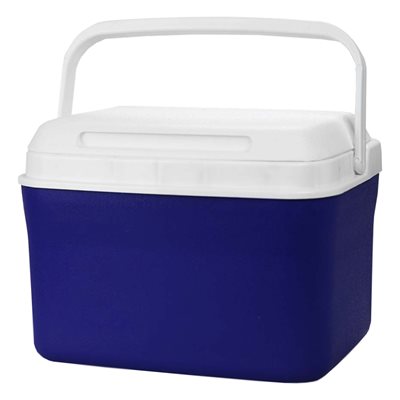 4.5L Frost Mate Cooler Box