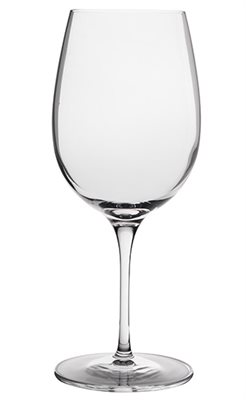 570ml Oenologue Expert Wine Glass