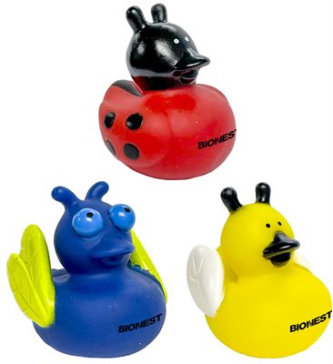 Bug Shaped Rubber Ducks