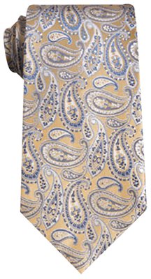 Paisley Silk Tie In Gold Blue