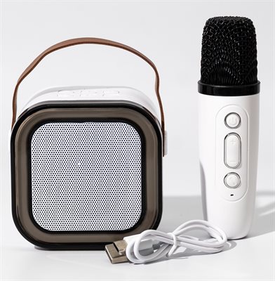 Party Time Portable Karaoke Machine