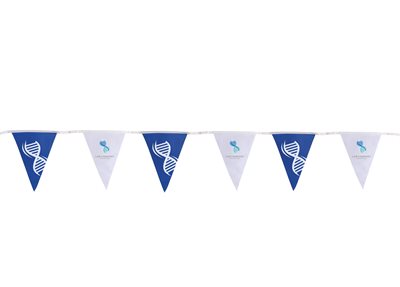 Pennant PVC String Flags