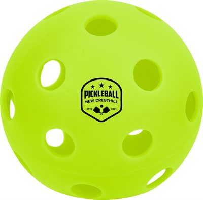 Pickleball 26 Hole Indoor Ball