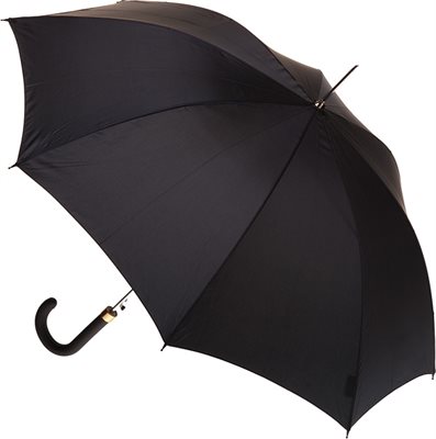 Skyra Auto Open Walking Umbrella