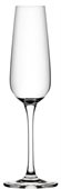 210ml Lyon Champagne Glass