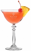 245ml Windsor Coupe Glass