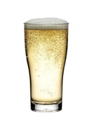 285ml Conical Midi Polycarbonate Beer Glass