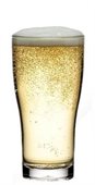 285ml Conical Nucleated Polycarbonate Beer Glass
