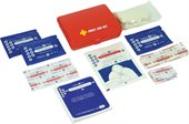 29 Piece Resource First Aid Kit