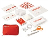 30 Piece Carry Pouch First Aid Kit