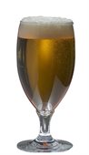 310ml Jasper Polycarbonate Beer Glass