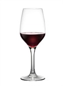400ml Polycarbonate Red Wine Glass