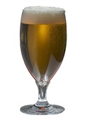 500ml Ale Haus Polycarbonate Beer Glass