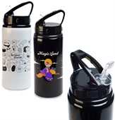 500ml Toledo Drink Bottle Flip Straw Lid