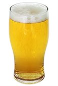 570ml Conical Nucleated Beer Glass
