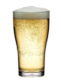 570ml Polycarbonate Pint Beer Glass