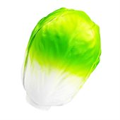 Cabbage Anti Stress Shape