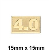 Customised Sandblast Pin