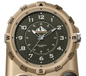 Delphinus Carabiner Watch