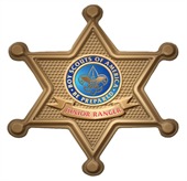 Deputy Sheriff Button Badge