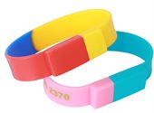 Divided Coloured Wristband Flash Drive