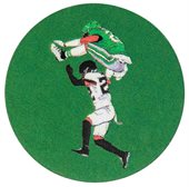 Falcon Round Acrylic Golf Ball Marker