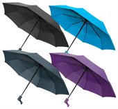 Federation Compact Umbrella