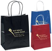 J1B Small Coloured Gloss Paper Bag Twisted Paper Handles