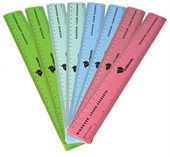 Recycled 30cm Plastic Ruler