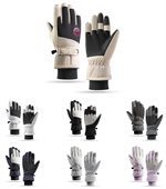 Summit Ski Gloves